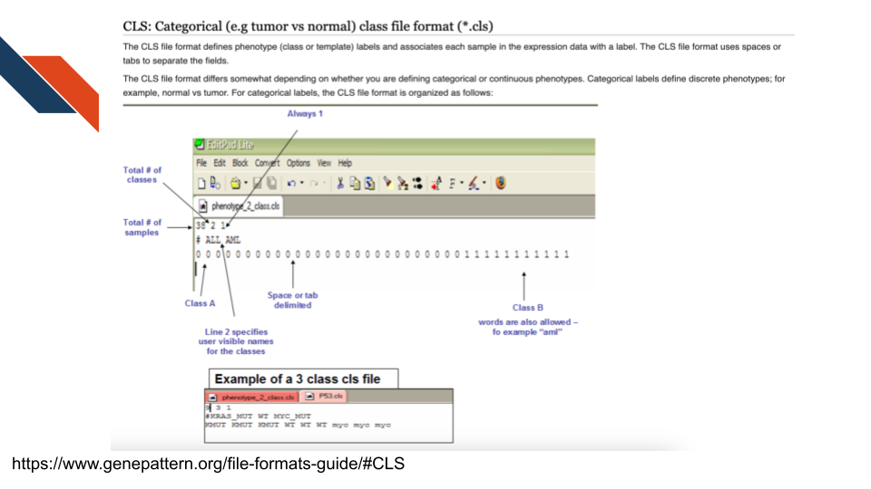 Description of c l s file from GenePattern