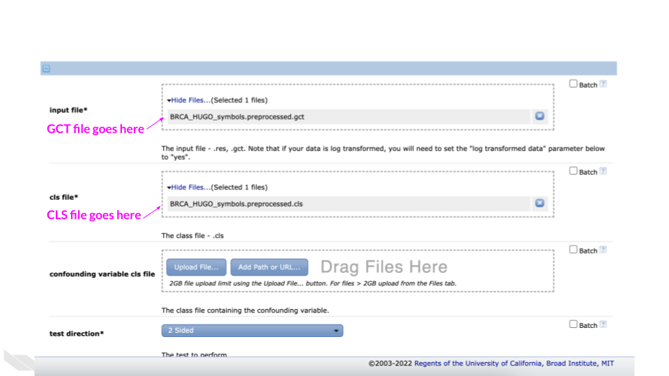 select the input files