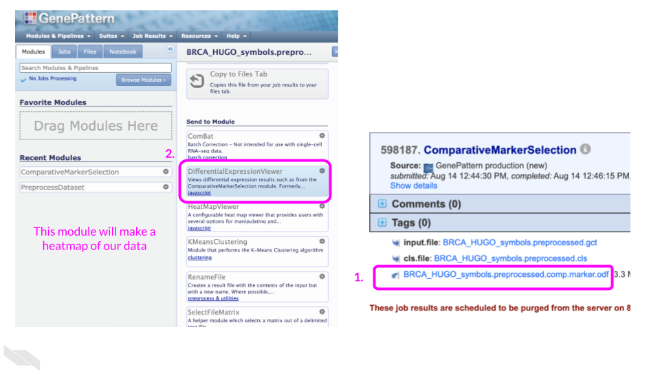 Send the data to the module named differential expression viewer