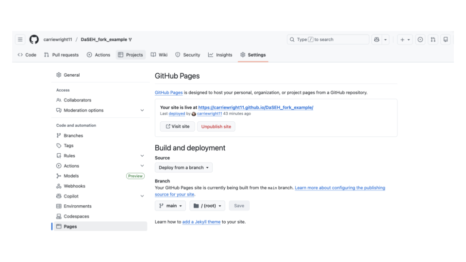 image of the pages site after the website is set up