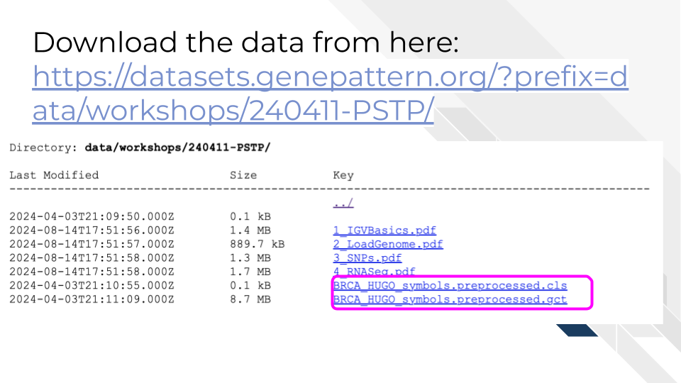 This slide provides info on which datasets to download, specifically the c l s and g c t files, from h t t p s colon forward slash forward slash datasets doc gene pattern dot org forward slash question mark prefix equal sign data forward slash workshops forward slash 240411 dash P S T P forward slash